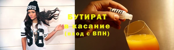 твердый Вяземский